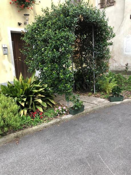 Il Casale Del Miele Bed and Breakfast Fraforeano Exteriör bild